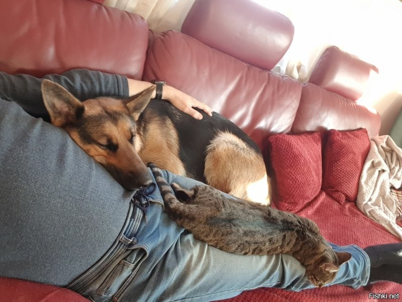 Не сомневаюсь...