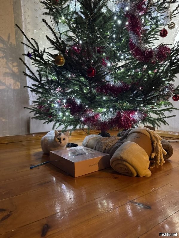 Зачем крушить если можно под елкой затихариться