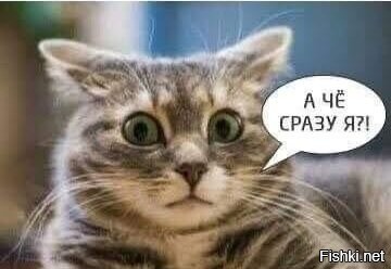 Солянка от 02.12.2025