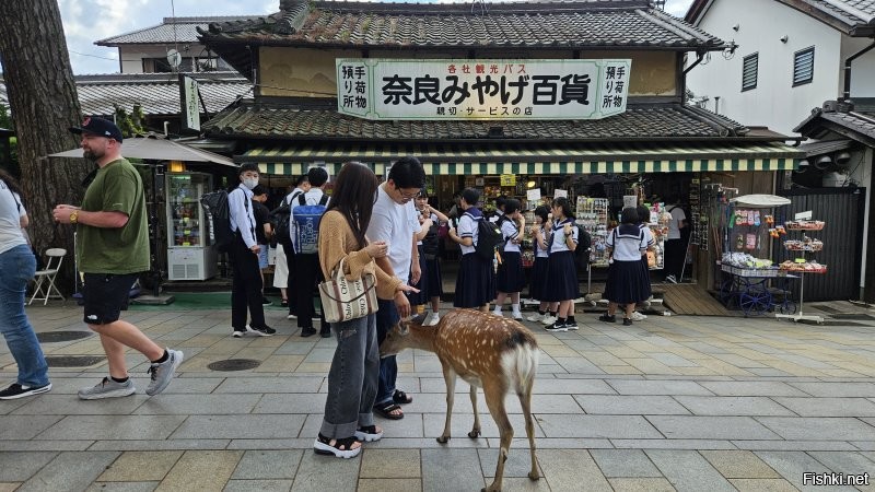 Там в основном японцы. Обычно там даже полно организованных школьников.