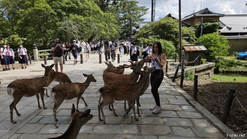 Там в основном японцы. Обычно там даже полно организованных школьников.