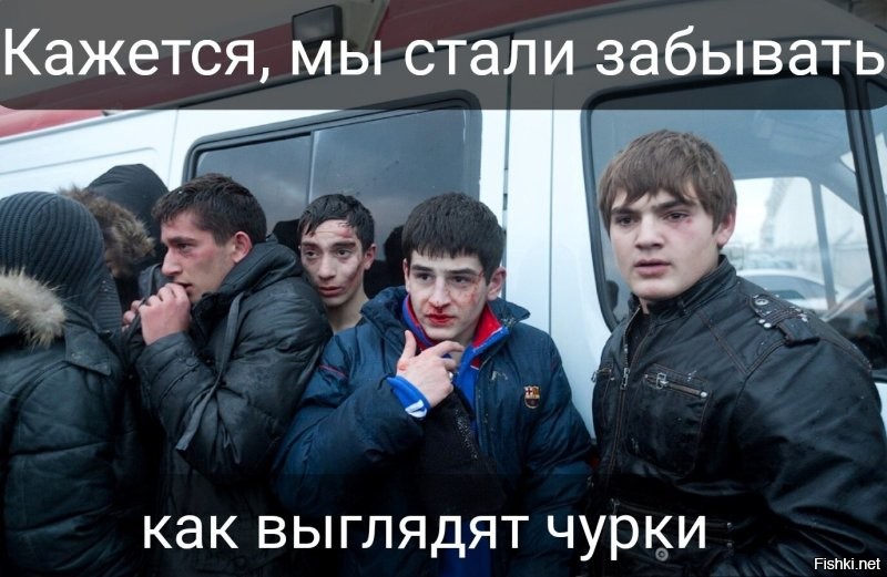 В Чечне снова потребовали извинений от российского бойца поп-ММА Даниила Бридова за оскорбление боксера Бетербиева