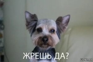 Русские национальные особенности жареной картошки