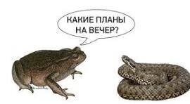 "Ты за это ответишь!": концертный директор Филиппа Киркорова подрался с блогером на открытии ГУМ-катка