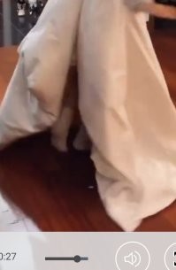 Минусят те, кто глаза с утра не продрал?