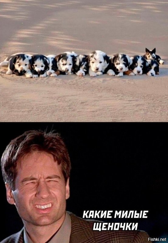 Скрытые оптические иллюзии, которые можно увидеть, прищурив глаза