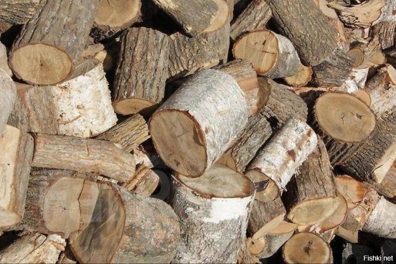 Глава СПЧ Фадеев назвал провокацией проведение намазов в метро