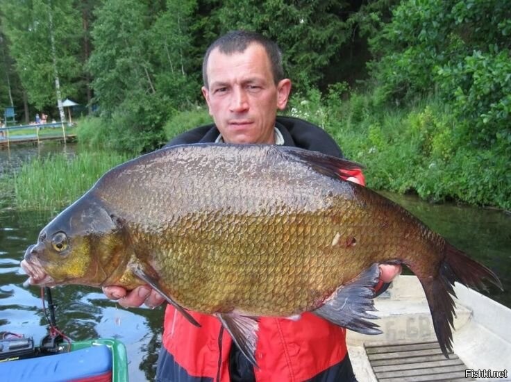 Полицейский в Бразилии ударил мотоциклиста, нарушившего правила дорожного движения