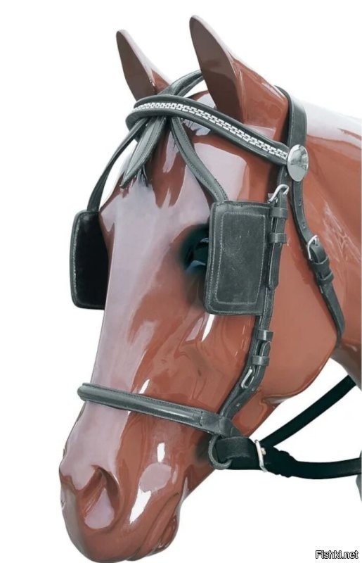 Они во власти и те, которые на прибыли думают, что у нас шоры на глазах.