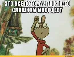 Медведь несколько месяцев жил в&nbsp;подвале частного дома в США