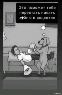 Смешные картинки