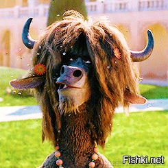 Девушка, пытавшаяся стать президентом России, заявила, что в последний раз мылась 13 лет назад