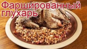 В лесной местности, без видимых причин, глухарь напал на семью