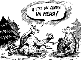 Медведь несколько месяцев жил в&nbsp;подвале частного дома в США