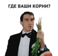 Александр Хинштейн нашёл у Колобка курские корни