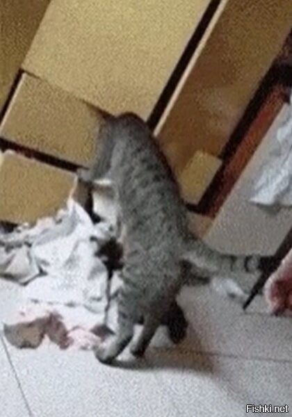 Помнится где-то косарь заныкал!