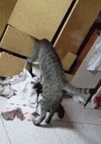 Помнится где-то косарь заныкал!