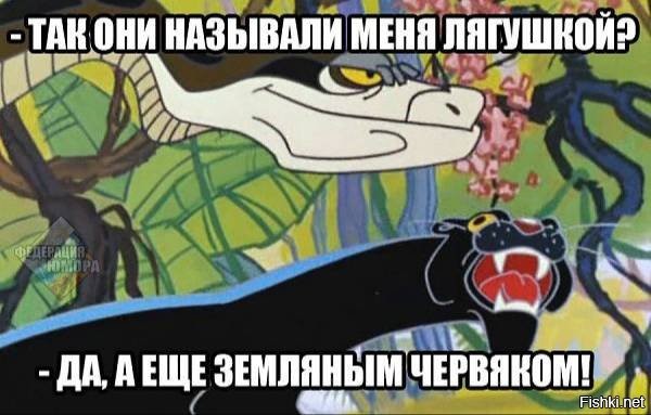 Бирманский питон-альбинос и проблема, о которой владельцы не знали