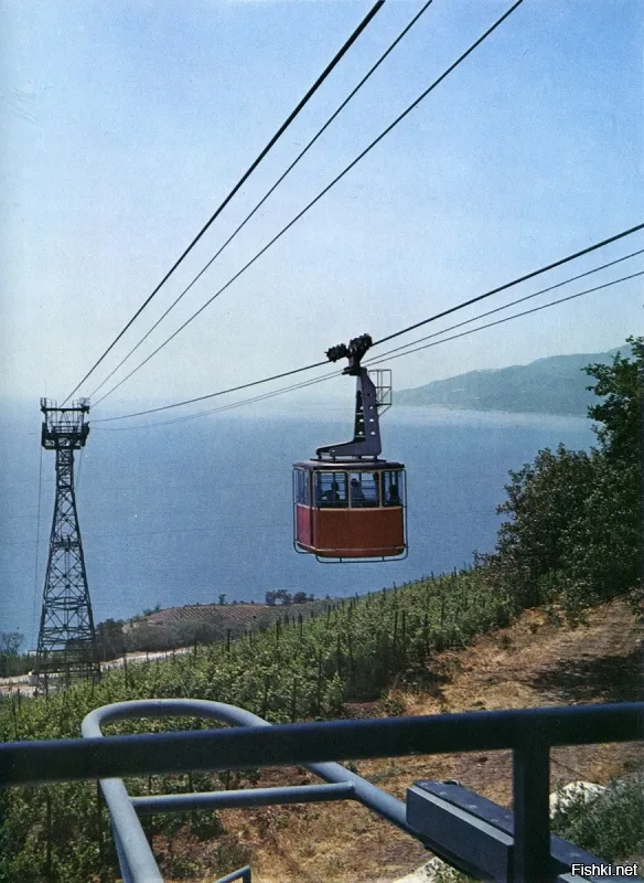 1. Это пансионат "Донбасс" в Ялте. (приблизительно конец 70-х - середина 85-х). Справа внизу, за каштаном была точка пива на разлив, налево метров через 50 - ТИР,  дальше по этой дорожке направо - продовольственный магазин, а под ним - магазин курортных товаров.
2. Канатная дорога на пляж пансионата "Донбасс".
3. Пляж пансионата "Донбасс".
4. Детская игровая комната пансионата "Донбасс".
5. Остановка и главный вход пансионата "Донбасс".
6. Столовая пансионата "Донбасс". (раннее фото)
7. Снова пляж.
8. Рядом с административным корпусом.
9. Пансионат "Донбасс" с высоты (крытый бассейн ещё только строится).
10. Столовая "Донбасса" ( 90-ые года).
11. Опять канатная дорога на пляж.
12. Площадка возле администрацции пансионата.
13. Снова столовая.
14. Пляж пансионата "Донбасс".
15. И снова площадка возле администрации.