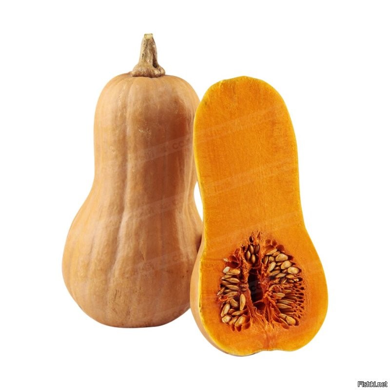 она уже похоже на тыкву, ну точь точь.