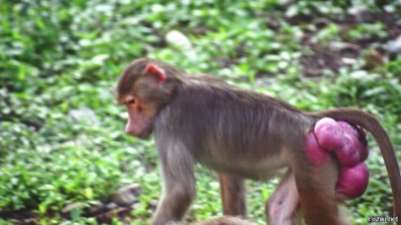 да с рождения должна быть.