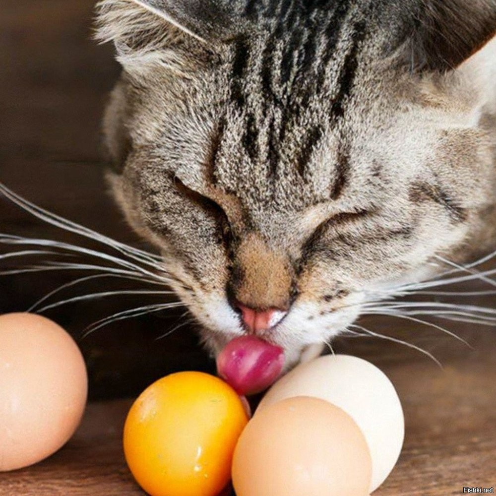 Как объединить морковь и огурец