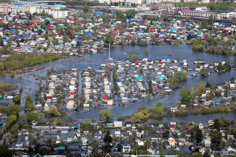 Объясни, зачем нужны лайки? С ними можно пиво купить???? Это реальность, к сожалению