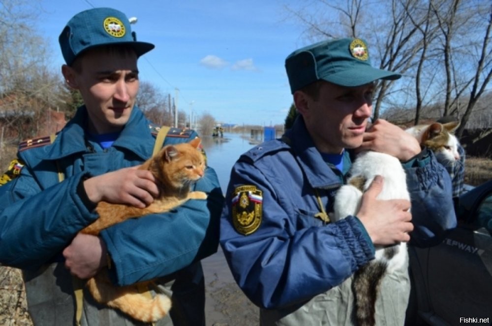 Душераздирающие кадры, слабонервным и беременным не смотреть