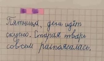 Пенсионерка устроила потасовку в автобусе в Ленинградской области