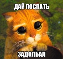 Рыбы в аквариуме «напугали» хозяина