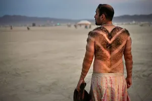 Каменная куница: почему обычные куры в сарае вызывают у них психоз?