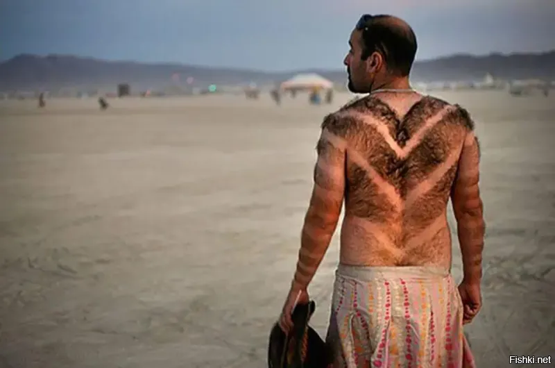 Каменная куница: почему обычные куры в сарае вызывают у них психоз?