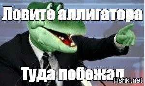 Полицейские "задержали" аллигатора во Флориде