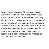 Как девушка и лошадь делили яблоко