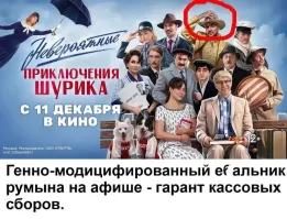 Вместо собачек сидела Долина?