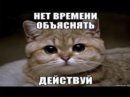 Проясните, что вообще происходит?