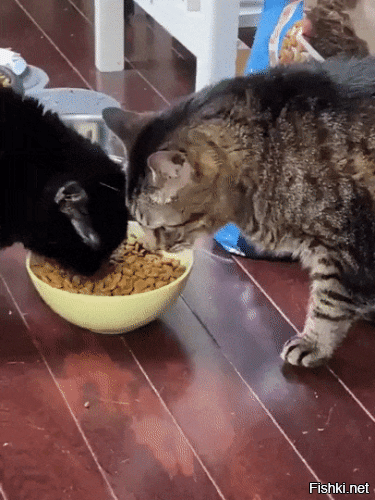 назвали, часом, не "Экскаватором"?