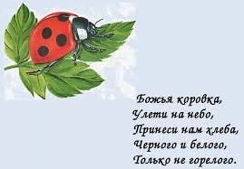 Не, не, не... Чем ярче тем страшней... Доверяю только ей