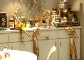 Сфинксы играют на кухне