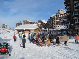Вот тут плохо видно, но у лошадей под хвостами привязаны специальные мешки для навоза и никапли мимо не попадает! Надо собачникам на вооружение взять.