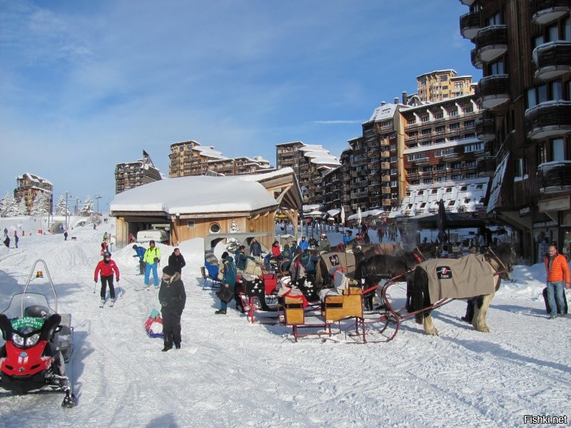 Вот тут плохо видно, но у лошадей под хвостами привязаны специальные мешки для навоза и никапли мимо не попадает! Надо собачникам на вооружение взять.