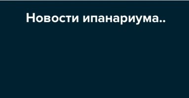 Дмитрий Медведев получил премию "Юрист года"