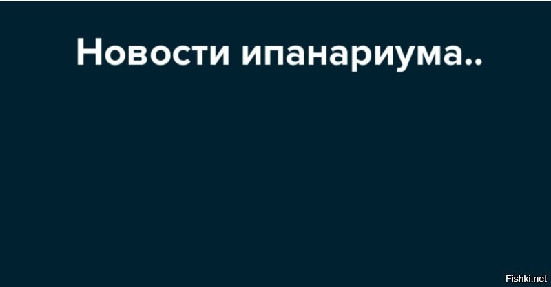 Дмитрий Медведев получил премию "Юрист года"