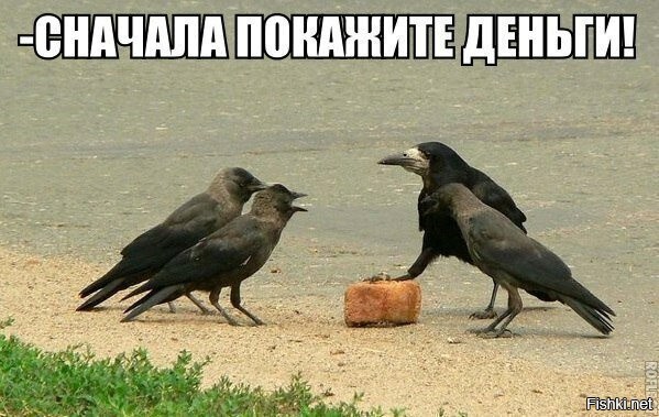 Весёлые картинки