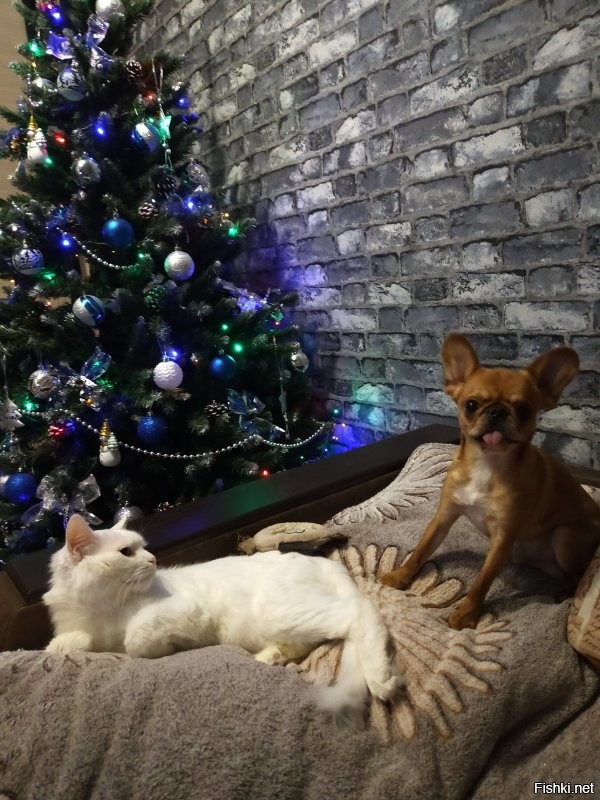 У нас ..дружба крепкая)