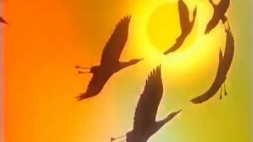 Картинка с музыкой...