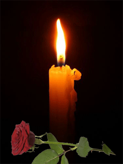 Солянка от 06.12.2025