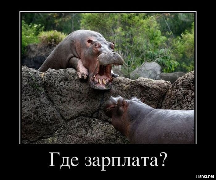 Большая тарелка позитива