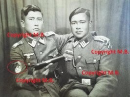 "К тому времени Геббельс уже начал раскручивать истерию, как в милую и невинную Германию вторгаются большевистские монгольские орды." Был бы живой, можно было бы напомнить министру, хотя бы, о калмыках.