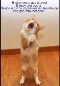 За вырубку, повреждение или выкапывание деревьев для граждан   штраф от 3 до 4 тыс. рублей

А по чесноку рад за сохранность своих штанов - мало ли чё!